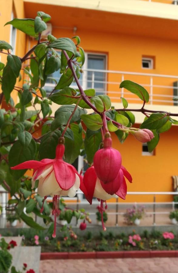 מלון קוסטינסטי Vila Oranj מראה חיצוני תמונה